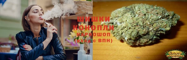 индика Балахна