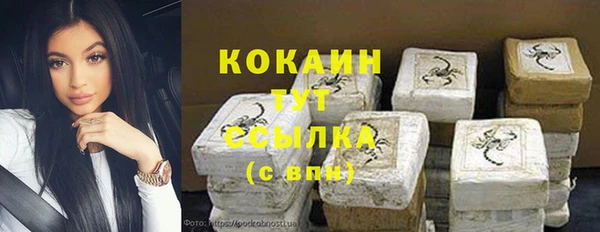 индика Белокуриха