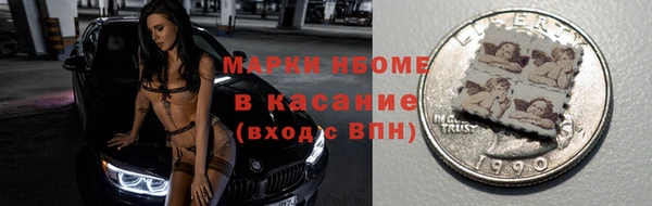 индика Балахна
