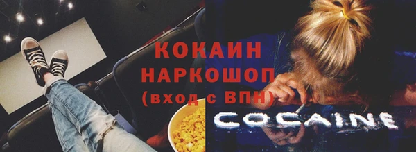 индика Белокуриха