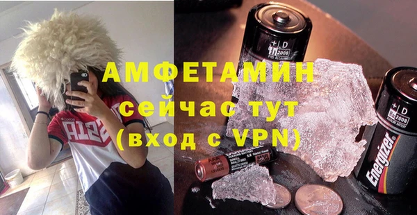 индика Белокуриха