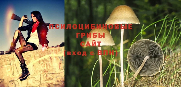 прущие крисы Белоозёрский