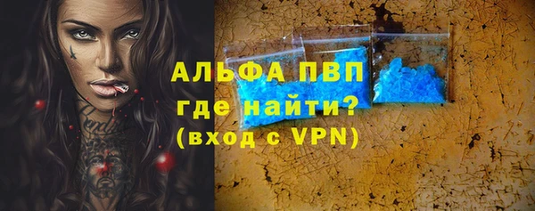 индика Балахна