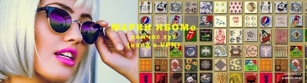 индика Балахна