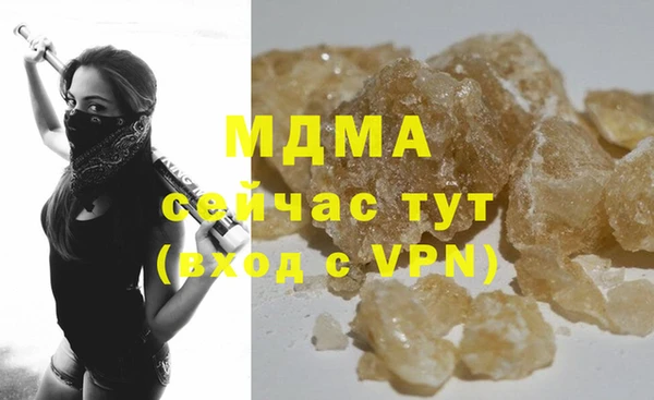 индика Белокуриха