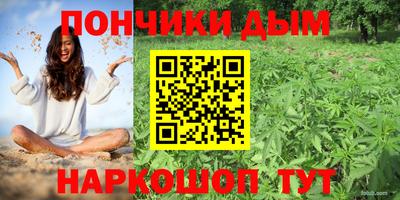 стафф Бийск