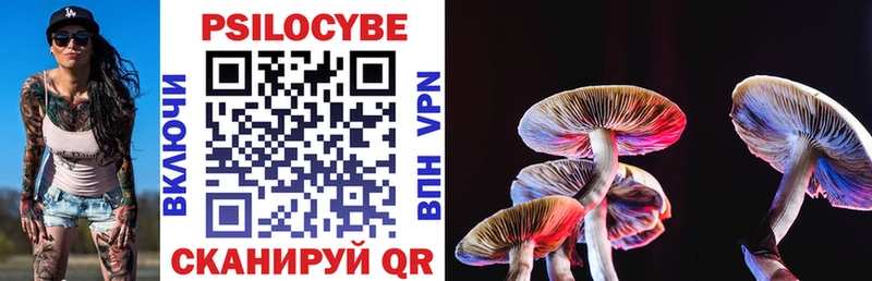 Псилоцибиновые грибы прущие грибы  Видное 