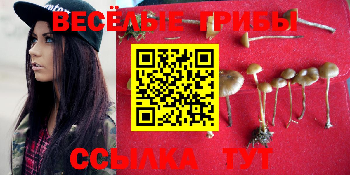 Псилоцибиновые грибы мухоморы  Вход с VPN  Видное 